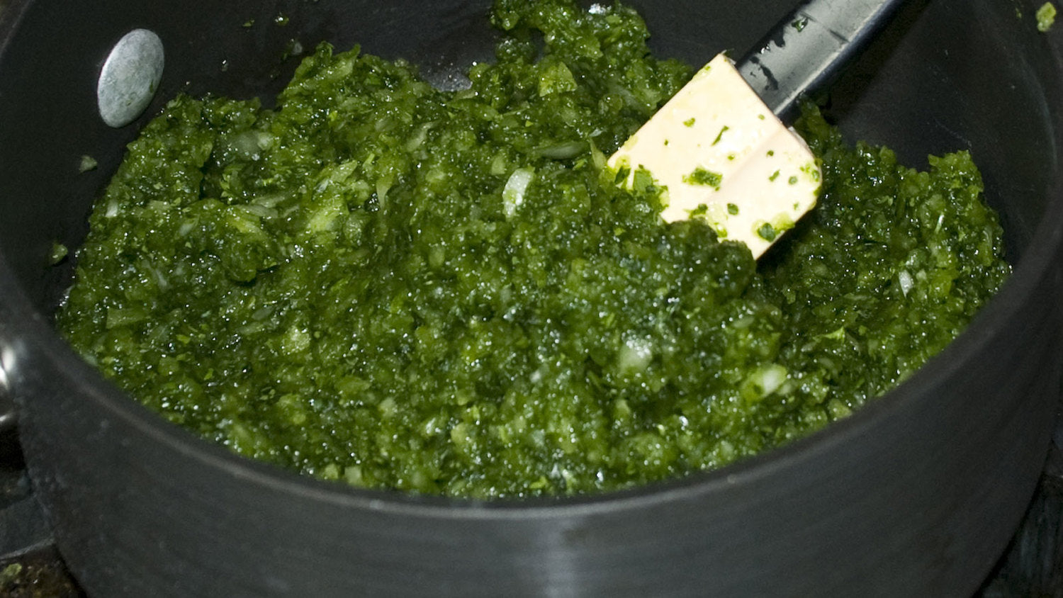 Garlic Mojo Seasoning Seasoning Paste